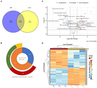 Elevated inorganic carbon and salinity enhances photosynthesis and ATP synthesis in picoalga Picocystis salinarum as revealed by label free quantitative proteomics